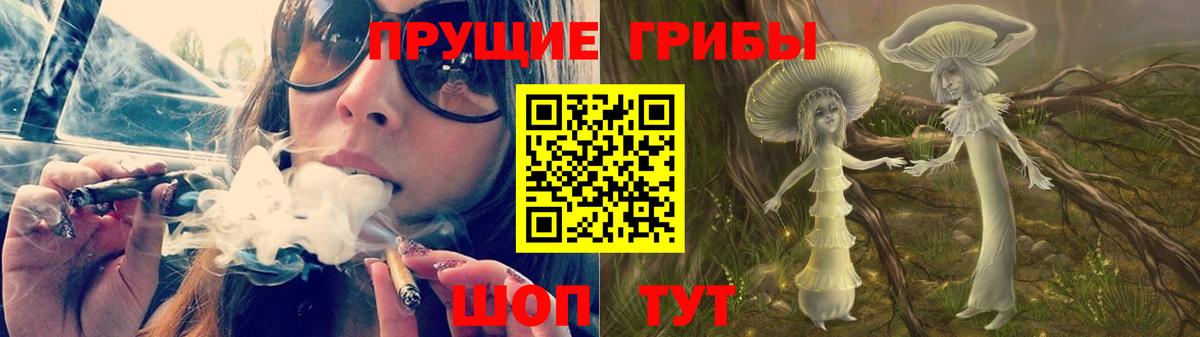 Галлюциногенные грибы Psilocybe Фурманов